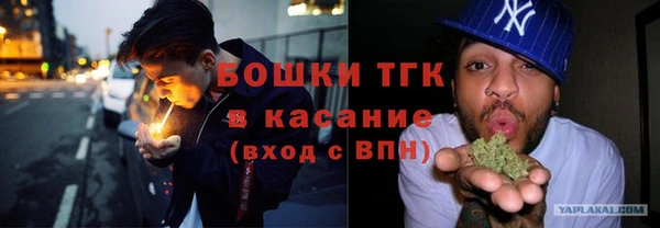 гидра Костерёво