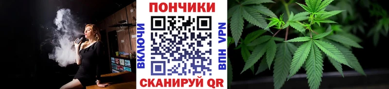 Канабис семена  как найти наркотики  Михайловка 